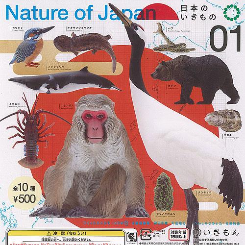 ネイチャーテクニカラー Nature of Japan 日本のいきもの 01 全10種+ディスプレイ...