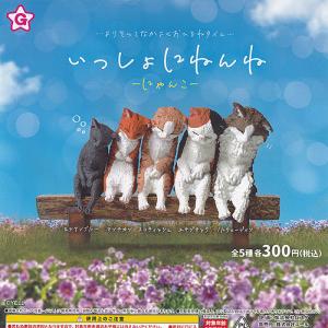 いっしょにねんね にゃんこ 全5種+ディスプレイ...の商品画像