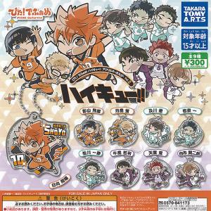 専用】ハイキュー 西谷夕 もちもちマスコットミニ 42点纏め売り