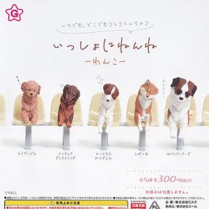 いっしょにねんね わんこ 全5種セット エール ...の商品画像