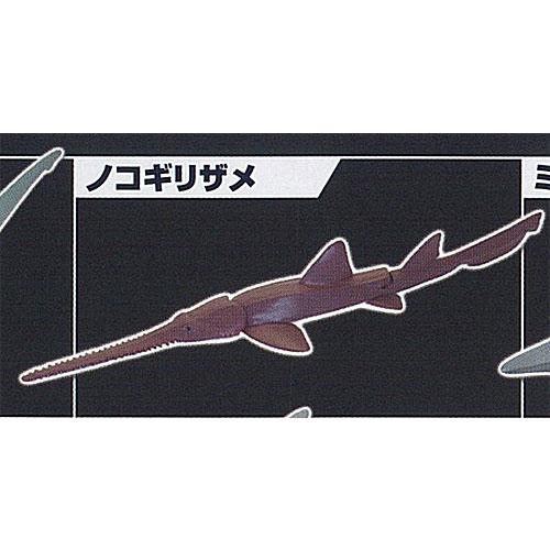 あそべる生物 フィギュア シリーズ ザ シャーク 集結 鮫のなかま 3：ノコギリザメ タカラトミーア...