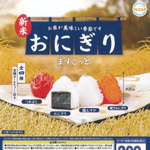 おにぎりますこっと【塩むすびなし】3種セット : セレンショップ