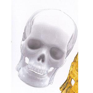 サイエンステクニカラー スケルトンズ イン スケルトンカラー 全10種+