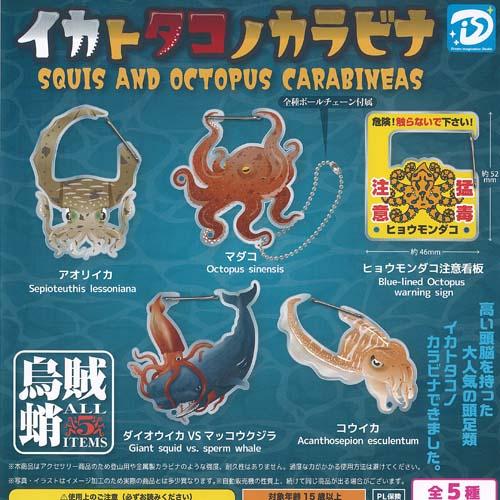 イカトタコ ノ カラビナ 全5種セット ディーアイエス ガチャポン ガチャガチャ ガシャポン コンプ...