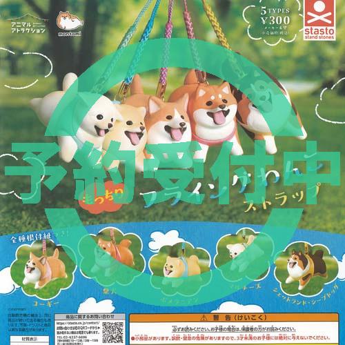 もんとみ アニマルアトラクション もっちり フライング わんこ ストラップ 全5種セット 11月再入...