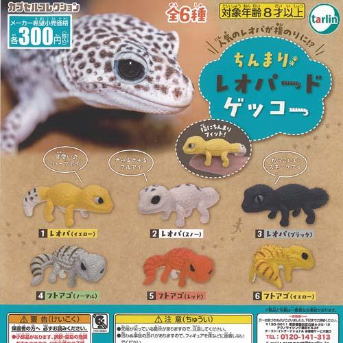 ちんまり レオパード ゲッコー 全6種+ディスプレイ台紙セット ターリンインターナショナル ガチャポ...