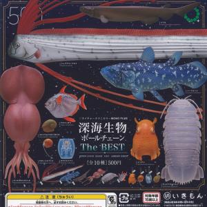 NTC 日本の清流 増補特装版 オイカワ : アミュームショップ - 通販