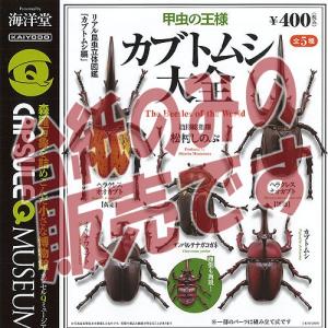 【非売品ディスプレイ台紙】カプセルQ ミュージアム カブトムシ 大全 海洋堂 ガチャポン ガチャガチャ ガシャポン｜yuyou