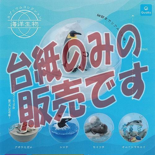 【非売品ディスプレイ台紙】カプリウム コレクション 海洋生物 Qualia ガチャポン ガチャガチャ...