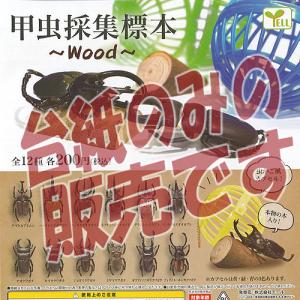 甲虫採集標本 Wood 全12種セット ガチャ ガシャ コンプリート G キッズルーム 通販 Yahoo ショッピング