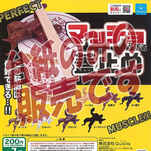 【非売品ディスプレイ台紙】マッチョすぎる 蓋止め  クオリア ガチャポン ガチャガチャ ガシャポン