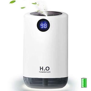 卓上加湿器 超音波式 小型加湿器 大噴霧量 長時間連続加湿 ミニ usb 超静音 LEDライ