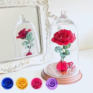 美女と野獣 バラの商品一覧 通販 Yahoo ショッピング