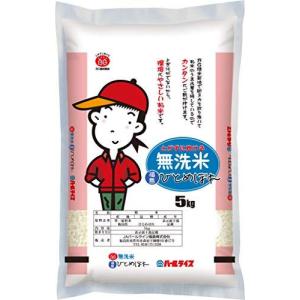 福島県産 無洗米 ひとめぼれ 5kg 令和2年産