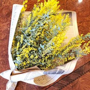 ミモザ 生花 の商品一覧 花 ガーデニング 通販 Yahoo ショッピング