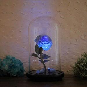 美女と野獣 バラの商品一覧 通販 Yahoo ショッピング