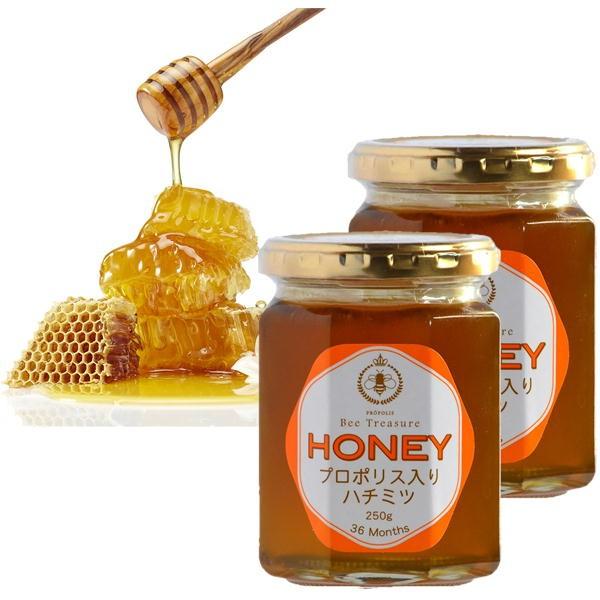 Bee Treasure プロポリス入りハチミツ HONEY 2個セット 蜂の宝本舗