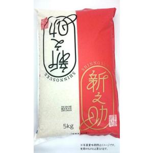 【令和7年産】新潟県産 新之助 5kg 精米 ...の詳細画像4