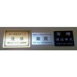マンションプレート(表札)メタル(金属調)1c...の詳細画像3