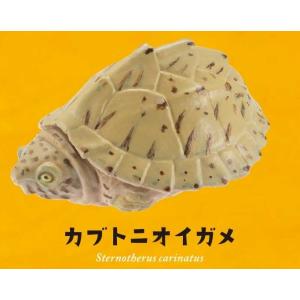 カプセルQミュージアム 福を呼ぶ お財布亀 vol.2