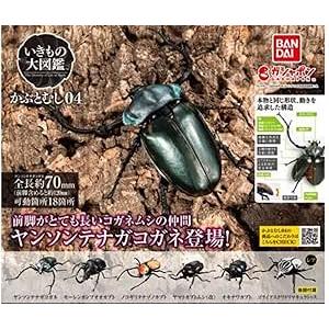 いきもの大図鑑アドバンス クワガタ02 [ノーマル3種セット※レアは含み