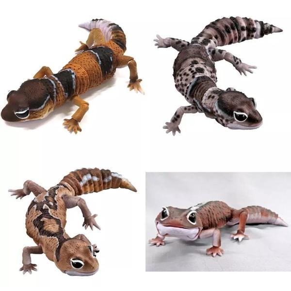 いきもの大図鑑アドバンス ニシアフリカトカゲモドキ　全4種類セット