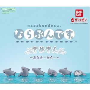 ならぶんです。 さめさん 〜あなざーからー〜 全...の商品画像