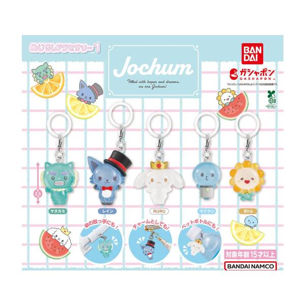 JOCHUM めじるしアクセサリー1 全5種セット　コンプ ガチャガチャ
