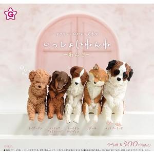 (在庫品)いっしょにねんね -わんこ- × 全5...の商品画像