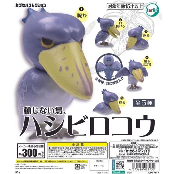 動じない鳥、ハシビロコウ全5種セット