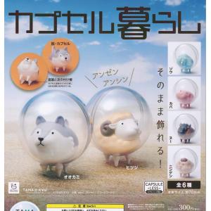 TAMA-KYU カプセル暮らし 全6種セット