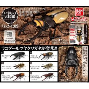 いきもの大図鑑アドバンス クワガタ02 [レア含む全4種セット