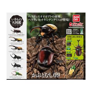 ガシャポン　いきもの大図鑑　かぶとむし 01 全7種　フルコンプ ガシャポンオンライン いきもの大図鑑 かぶとむし07 全6種
