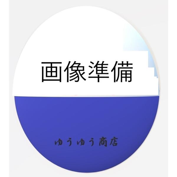 New PANTY &amp; STOCKING with GARTERBELT ACRYLIC KEYCH...