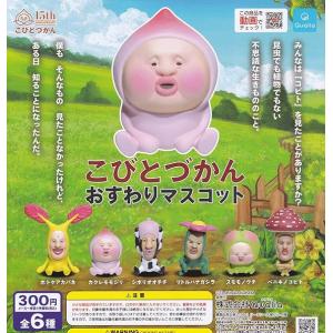 【新品・未開封】mojojojo TODD FRIENDS セット mojojojo Todd Friends pouch 全4種セット : ゆうゆう 商店