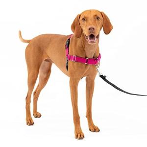 PetSafe イージーウォークハーネス