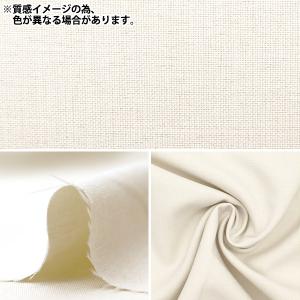 【数量5から】 生地 『シャンブレーエステル ...の詳細画像1
