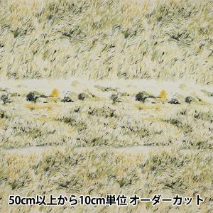【数量5から】 生地 『yui 綿麻コンパス インクジェット ヤーン EGXA-6419-1』 KOKKA コッカ