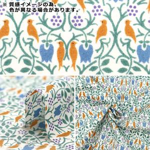 【数量5から】 生地 『ローン V&A...の詳細画像2