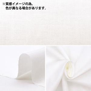 【数量5から】 生地 『ボイル 無地 ソフトラ...の詳細画像1