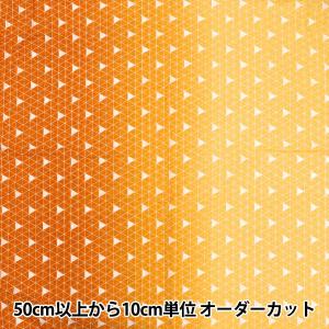 【数量5から】 生地 『リップルプリント 古典柄...の商品画像