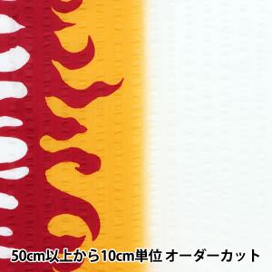 【数量5から】 生地 『リップルプリント 古典柄...の商品画像