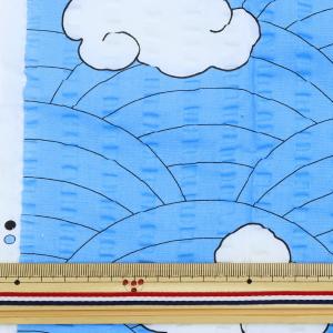 【数量5から】 生地 『リップルプリント 古典...の詳細画像1