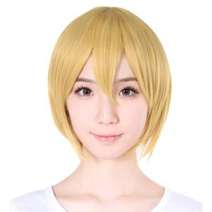 忍たま乱太郎 綾部喜八郎 あやべきはちろう コスプレウィッグ かつら
