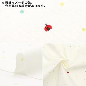 【数量5から】 生地 『ホーミーコレクション ...の詳細画像2