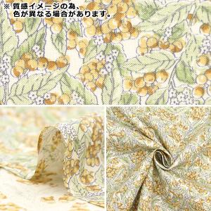 【数量5から】 生地 『シーチング ヘブンリー...の詳細画像2