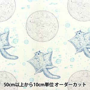 【数量5から】 生地 『河野愛 綿麻 モモンガ ホワイト×ブルー×パープル KN4444845-C』 YUWA 有輪商店