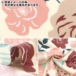 【数量5から】 生地 『30ビエラ 微起毛 花...の詳細画像2