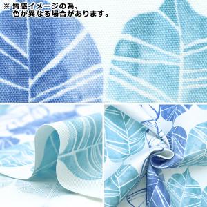 【数量5から】 生地 『オックス コットンプリ...の詳細画像2