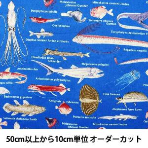 魚 リアル イラストの商品一覧 通販 Yahoo ショッピング